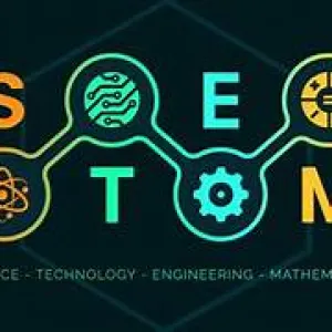 stem